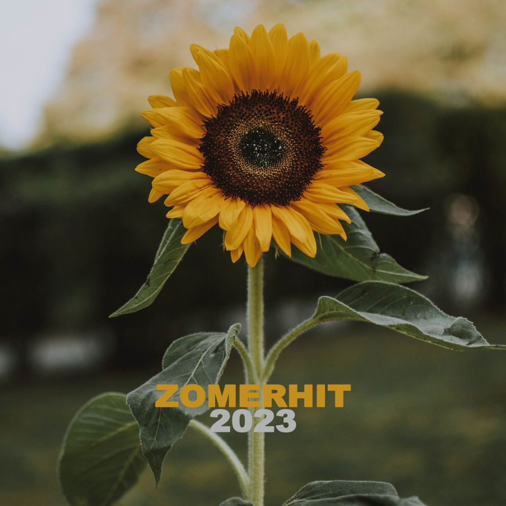 Zomerhit 2023 (Explicit)