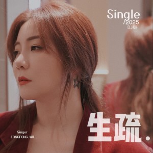 Album 生疏(DJ版) from 胡芳芳