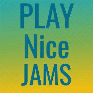Album Play Nice Jams oleh Various