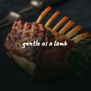 Album Gentle as a Lamb oleh Various