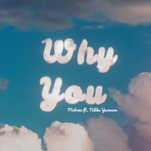 Listen to Why You. song with lyrics from Metrøx