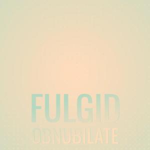 Album Fulgid Obnubilate from Various