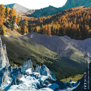 Album Wild and Free from 