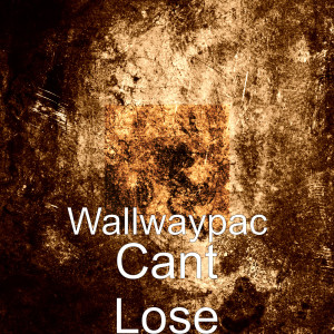 Listen to Cant Lose (Explicit) song with lyrics from Wallwaypac