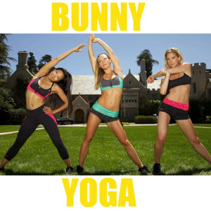 Album Bunny Yoga from KC And The Sunshine Band