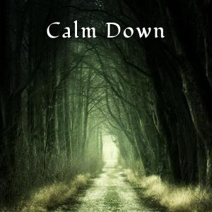 Album Calm Down from Allerlei von Nicolai