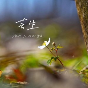SHaNE_Z的专辑芸生