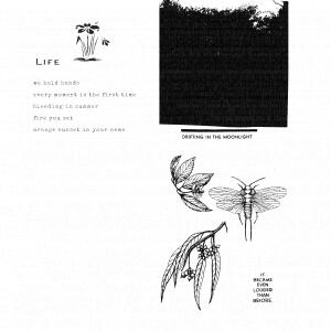 Album drifting in the moonlight. it became even louder than before from Life