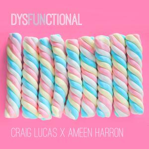 อัลบัม Dysfunctional (feat. Craig Lucas) ศิลปิน Craig Lucas