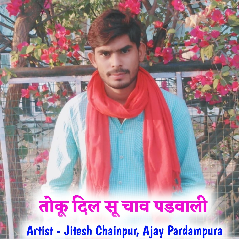 Toku Dil Su Chab Padwali