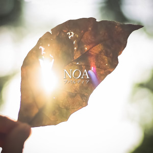 Album Bouvardia oleh Noa（欧美）