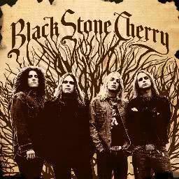 ดาวน์โหลดและฟังเพลง Lonely Train พร้อมเนื้อเพลงจาก Black Stone Cherry