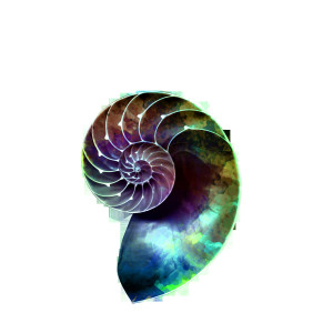 ดาวน์โหลดและฟังเพลง Embrace the Life Cycle พร้อมเนื้อเพลงจาก Existential Metal Philosophy