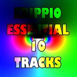 อัลบัม Erippio Essential 10 Tracks ศิลปิน Erippio