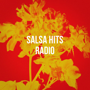 Salsa Hits Radio