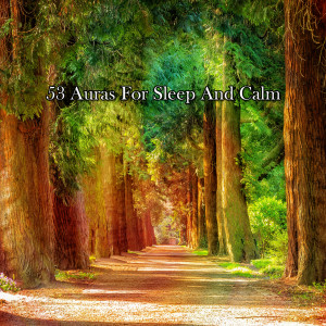 Album 53 Auras For Sleep And Calm oleh Meditation Zen Master