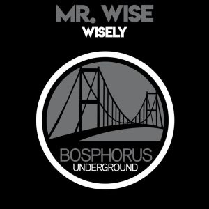Dengarkan lagu Noob (Original Mix) nyanyian Mr. Wise dengan lirik