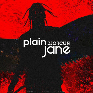 DJ Orcun的專輯Plain Jane