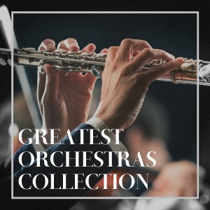 Listen to Orchestral Suite No. 1 in C Major, BWV 1066: VI. Bourree I and II song with lyrics from Capella Istropolitana