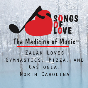 Listen to Zalak Loves Gymnastics, Pizza, and Gastonia, North Carolina song with lyrics from J.Beltzer