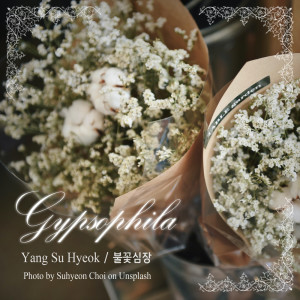 收聽불꽃심장的Gypsophila (안개꽃)歌詞歌曲