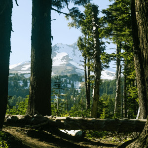 Listen to Juniper song with lyrics from Through & Through