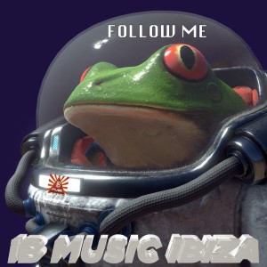 Album Follow Me (Remix Edit) from Liam C