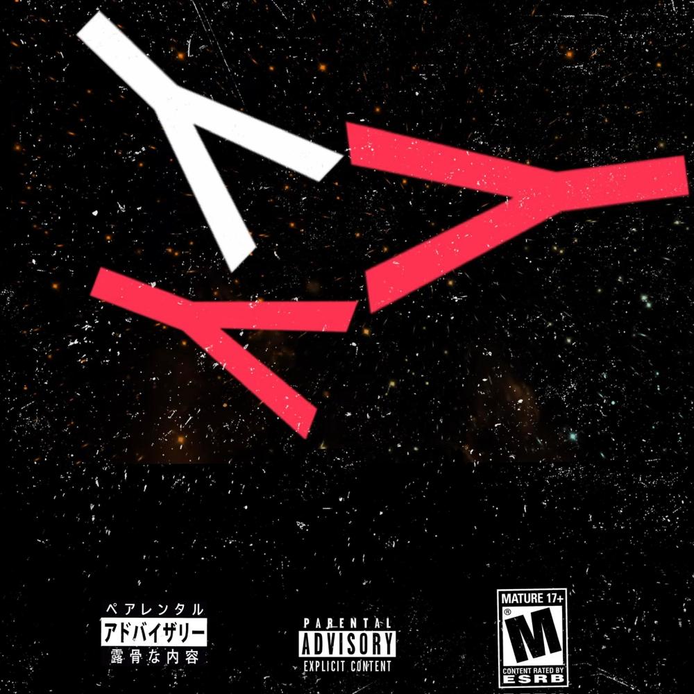 Y (Explicit)
