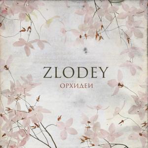 ดาวน์โหลดและฟังเพลง Орхидеи พร้อมเนื้อเพลงจาก Zlodey