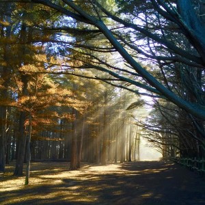 Valeria González的專輯Ecos de la Naturaleza (Echoes of Nature)