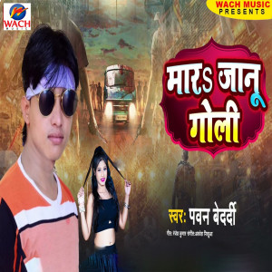 Listen to Mar Janu Goli song with lyrics from Pawan Bedardi