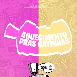 Album Aquecimento Pras Gatinhas (Explicit) from DJ DR 016