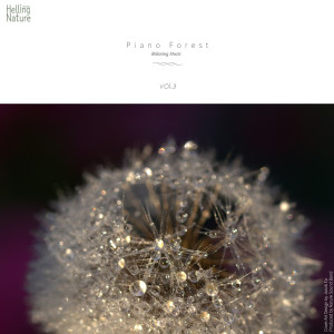ดาวน์โหลดและฟังเพลง In Front of the Beach (Rain Sound) พร้อมเนื้อเพลงจาก 힐링 네이쳐 Nature Sound Band