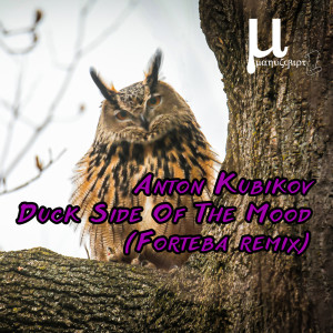 อัลบัม Duck Side Of The Mood (Forteba Remix) ศิลปิน Anton Kubikov