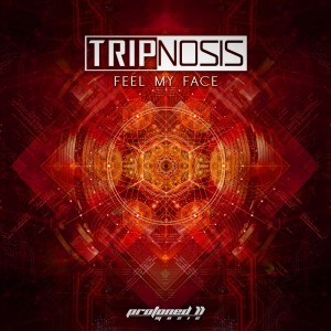ดาวน์โหลดและฟังเพลง Feel My Face พร้อมเนื้อเพลงจาก Tripnosis