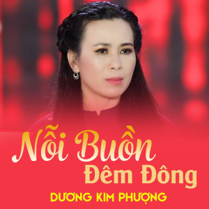 收听Dương Kim Phượng的Nỗi Buồn Đêm Đông歌词歌曲