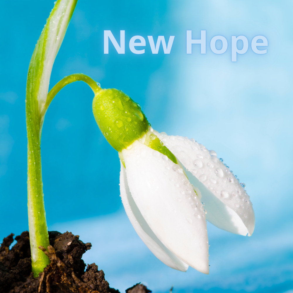 New Hope