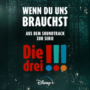 ดาวน์โหลดและฟังเพลง Wenn Du uns brauchst (aus "Die Drei !!!") พร้อมเนื้อเพลงจาก Alli Neumann