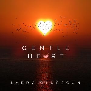 收聽Larry Olusegun的Gentle Heart歌詞歌曲