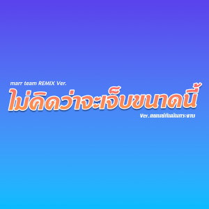Album ไม่คิดว่าจะเจ็บขนาดนี้ (Remix) oleh marr team