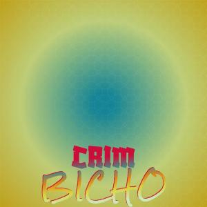 Album Crim Bicho from Various