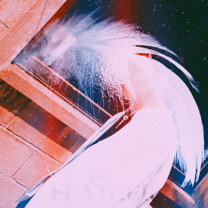 Album FEATHER from 제이키