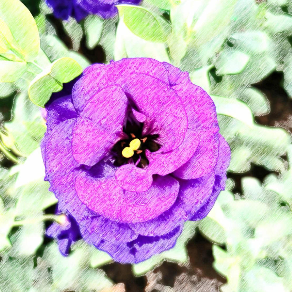 The Blue Star