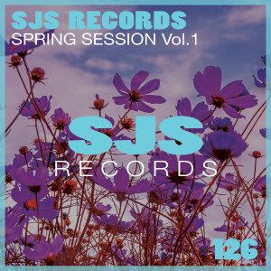 Listen to Do It (Jonk & Spook Edit) song with lyrics from VS Prjct