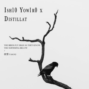 Album The Birds Fly High as They Know the Suffering Below from ish10 yow1r0
