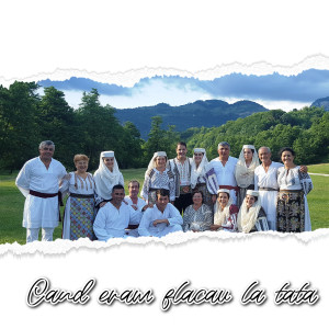 Listen to Sarmana casuta noastra song with lyrics from Sava Negrean Brudașcu