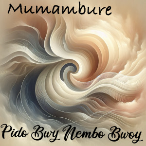 Listen to Mumambure song with lyrics from Pido Bwy