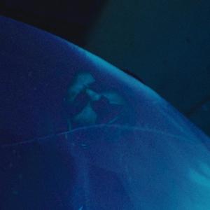 收聽Mammals的Mansion歌詞歌曲