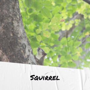 Listen to Yourself Bed song with lyrics from Zean Eler