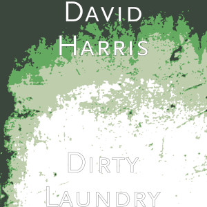 Listen to Dirty Laundry song with lyrics from David Harris